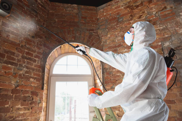 Best Asbestos and Lead Testing During Mold Inspection in USA